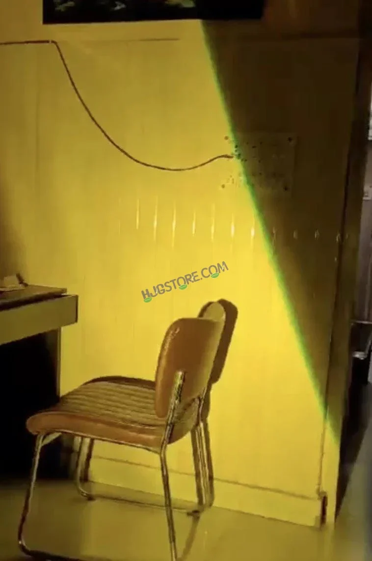 HJG P49 Dual Lens 120W New Model with Power Adaptor Foglight Ultra Wide Dual Intensity LED Driving Fog Lights White/Yellow (2*60W = 120W Total) Universal For All Cars & Bikes - Image 12